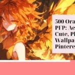 Orange PFP