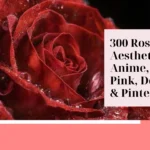 Rose PFP