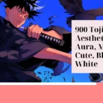 Toji PFP