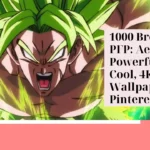 Broly PFP