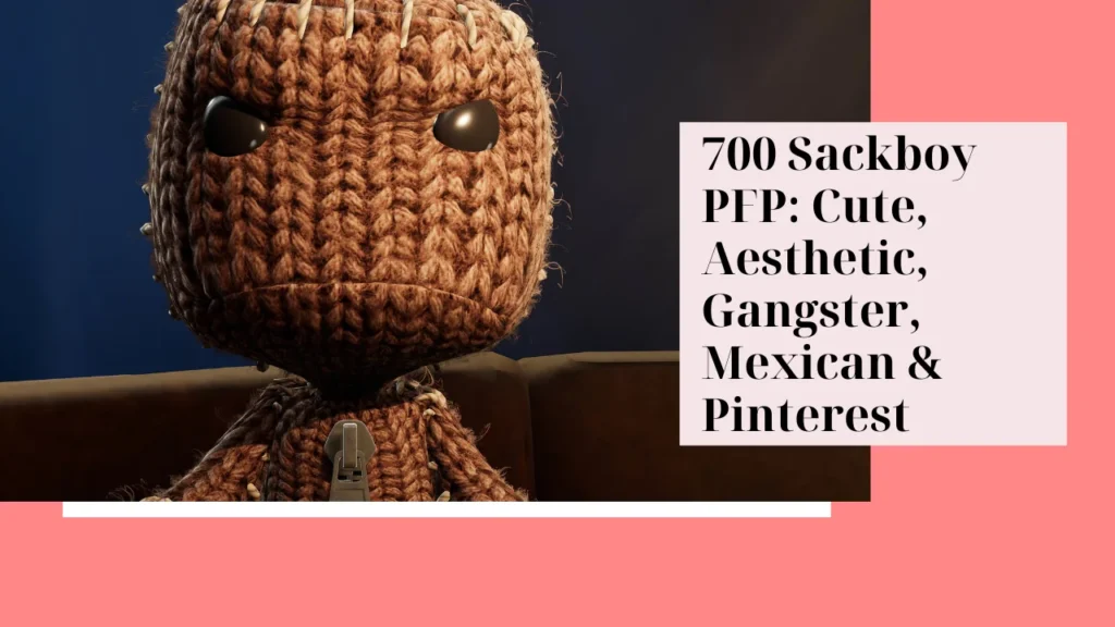 Sackboy PFP