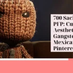 Sackboy PFP